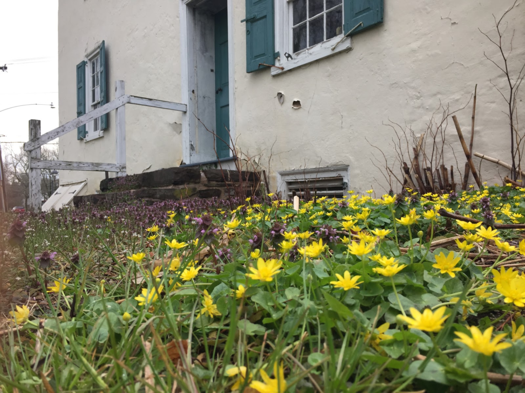 spring